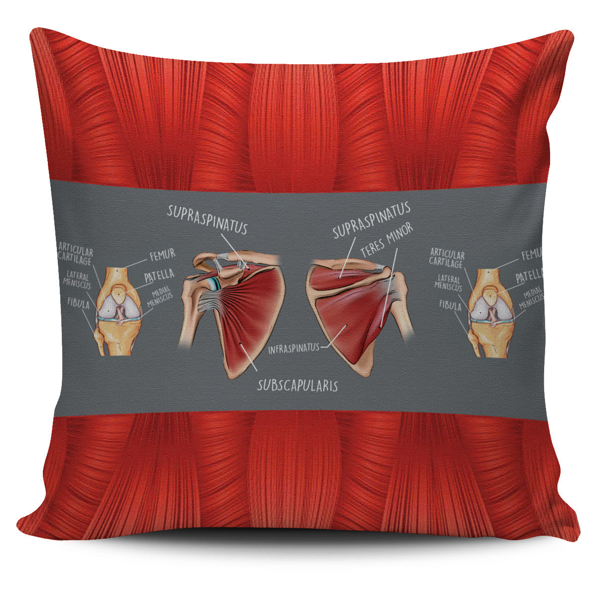 Physical Therapy Pillow Cover