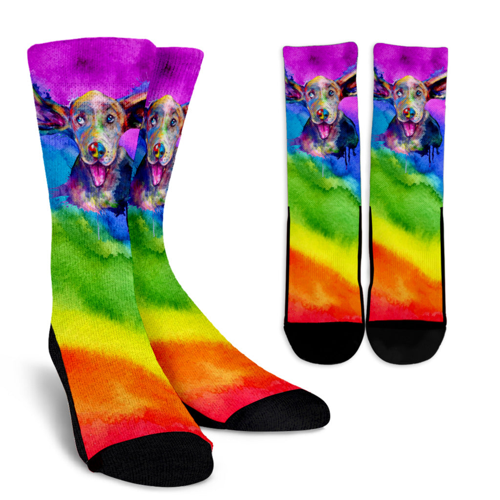 Rainbow Hound Socks