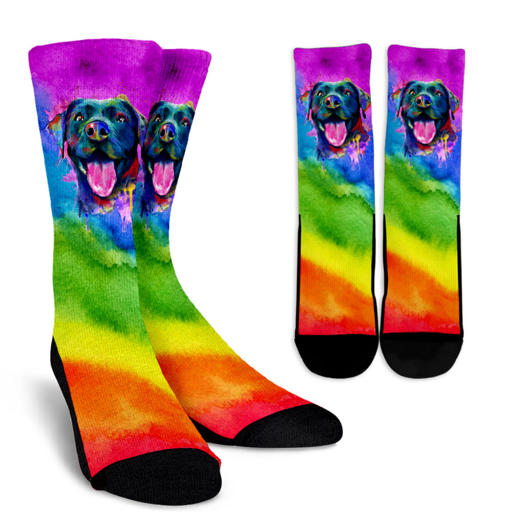 Rainbow Black Lab Socks