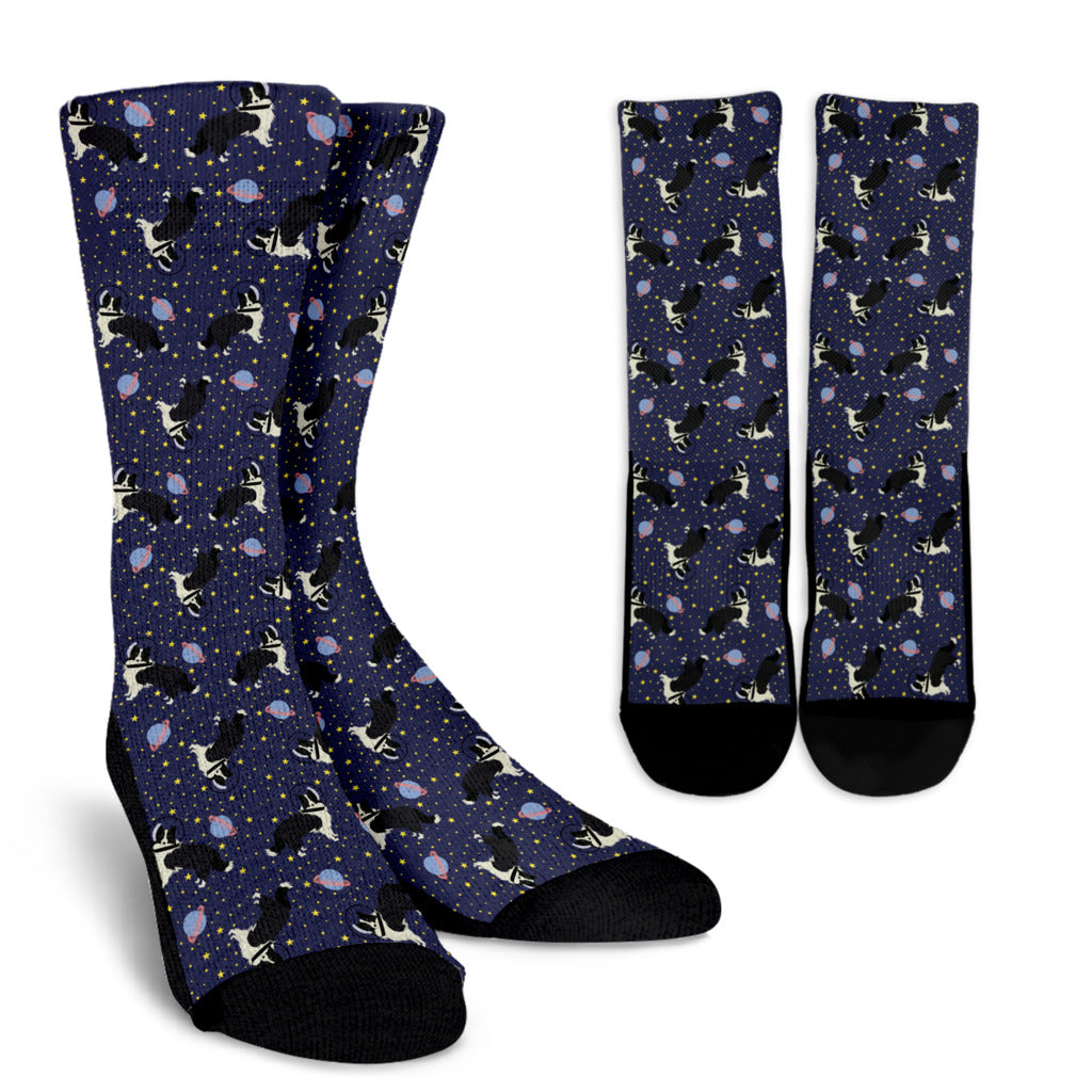 Space Border Collie Socks
