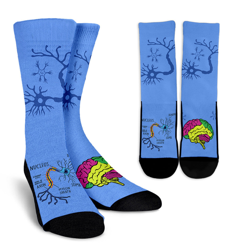 Neuroscience Socks