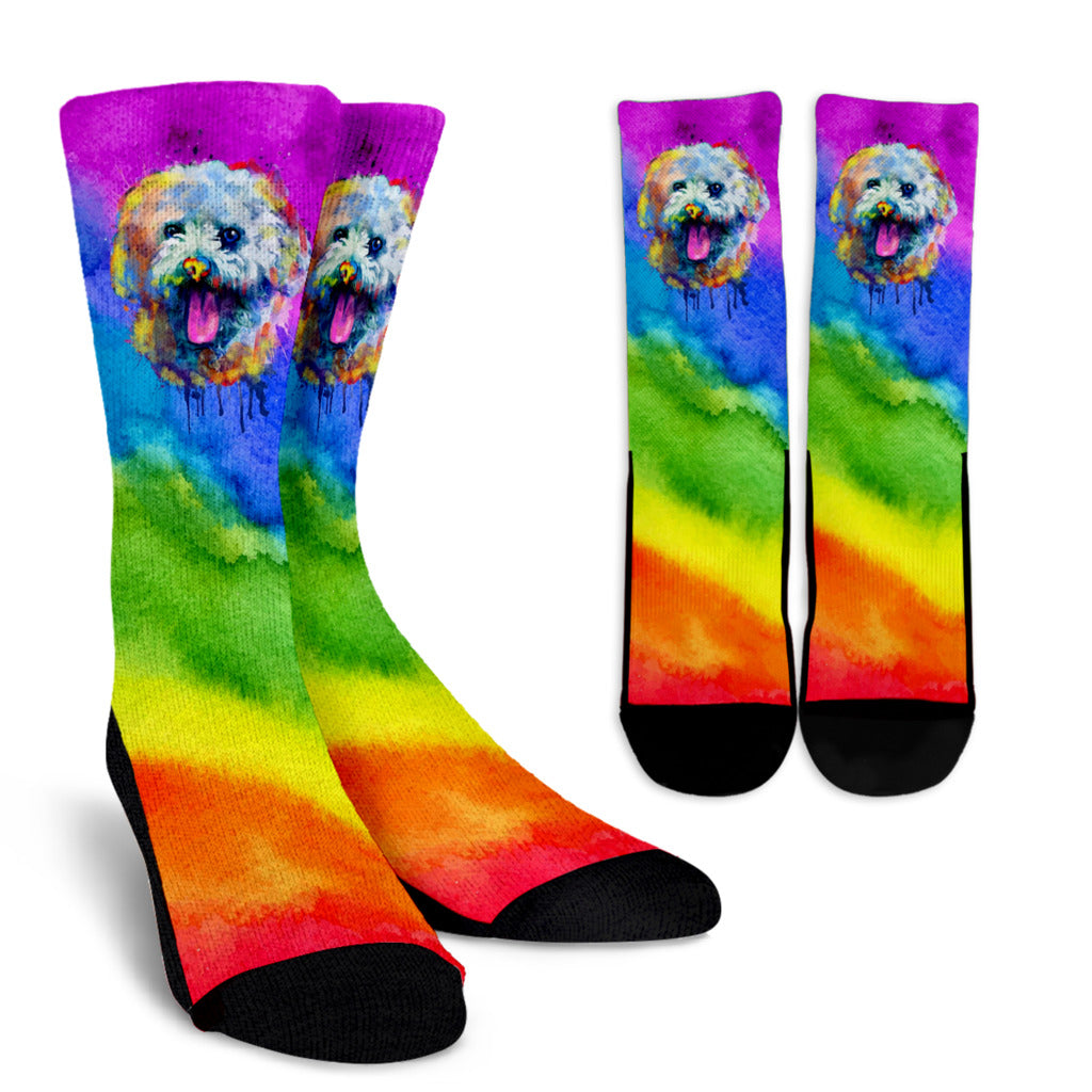 Rainbow Bichon Socks