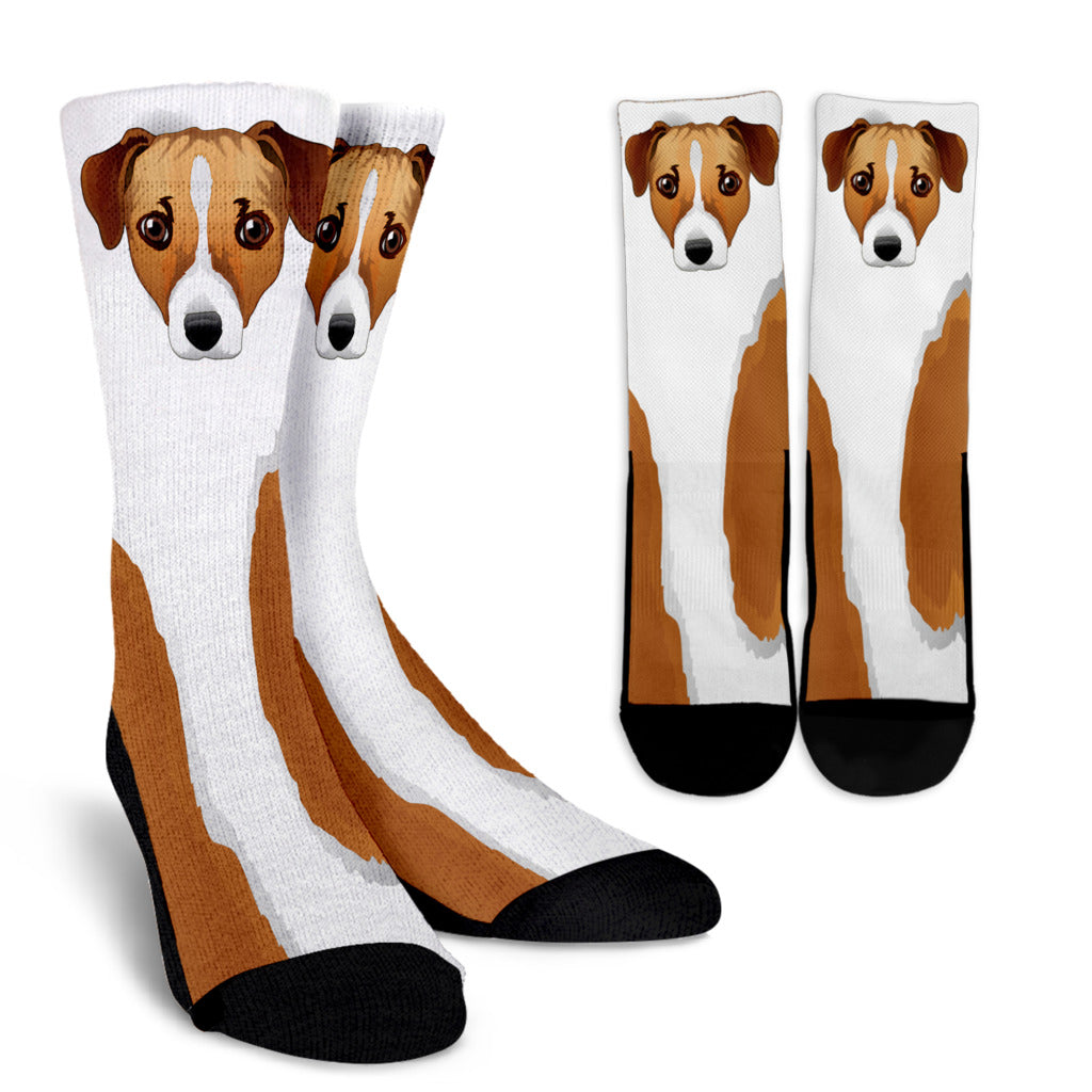 Real Jack Russel Terrier Socks