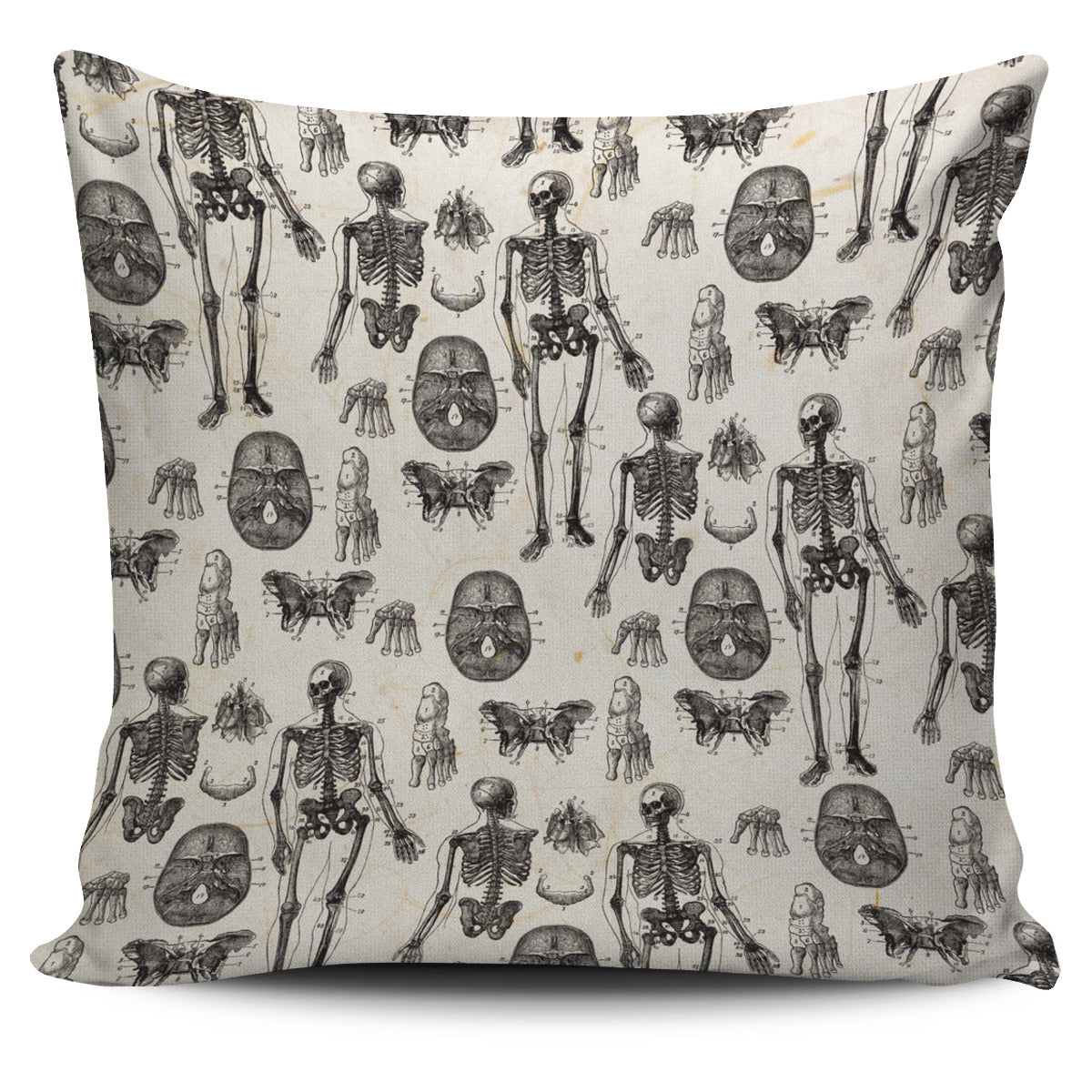 Vintage Anatomy Pillow Cover