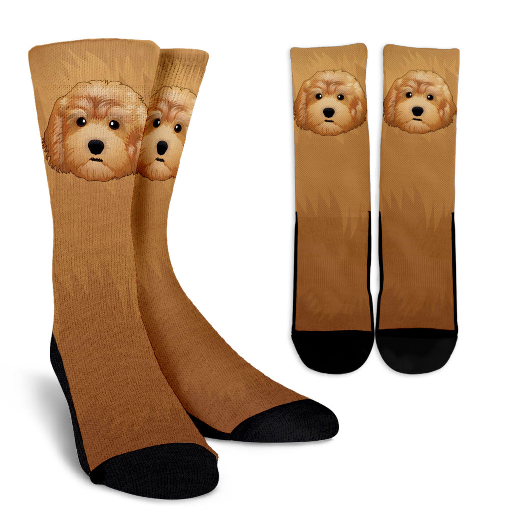 Real Goldendoodle Socks