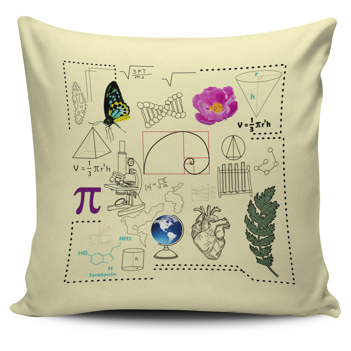 Science Map Pillow Cover