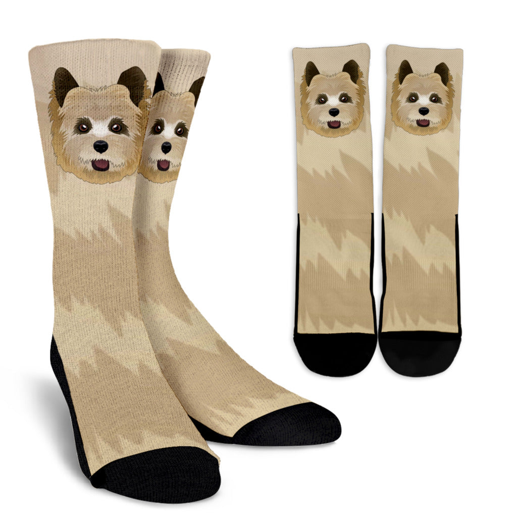 Real Cairn Terrier Socks