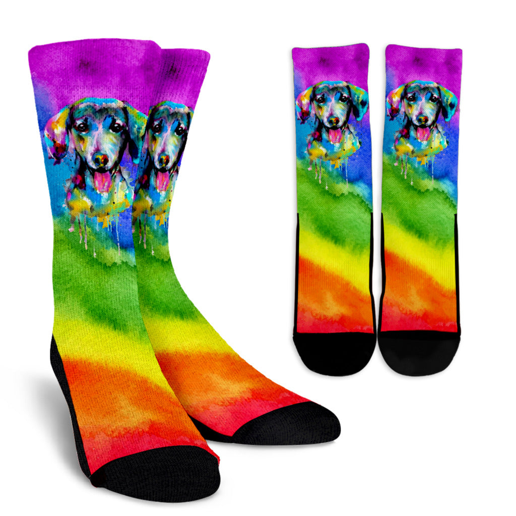 Rainbow Dachshund Socks