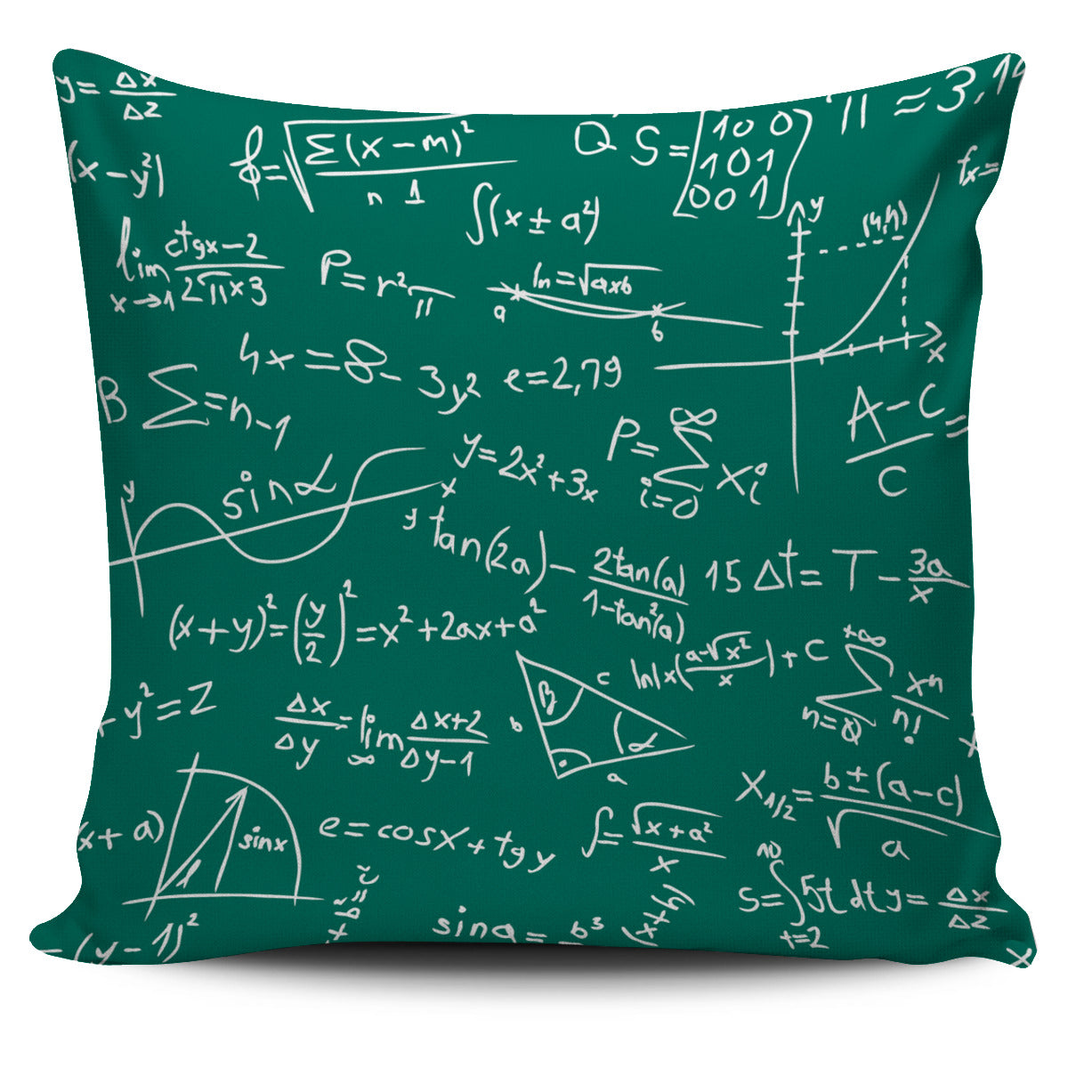 Mathematics Pillow Cover