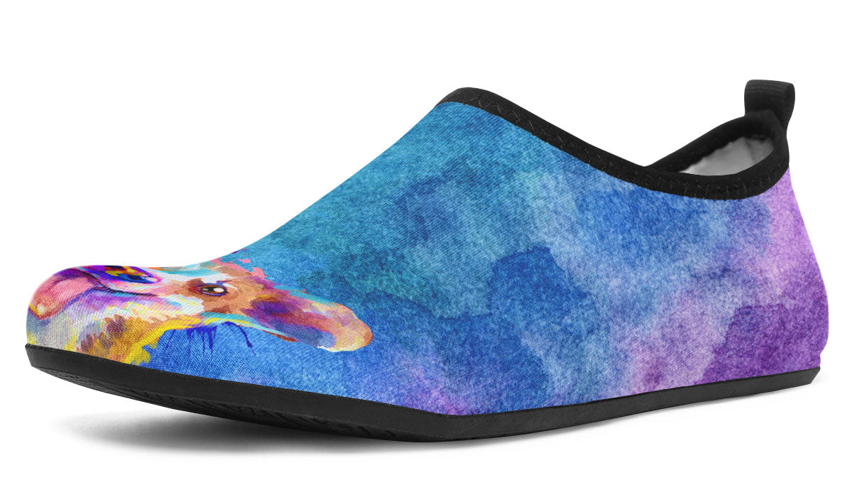 Rainbow Corgi Aqua Barefoot Shoes