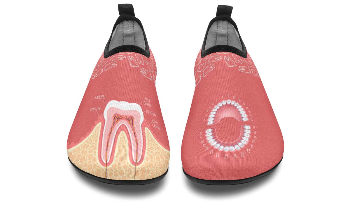 Teeth Anatomy Aqua Barefoot Shoes