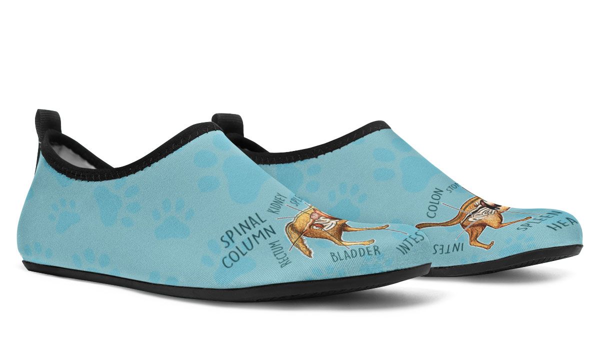 Veterinary Diagram Aqua Barefoot Shoes