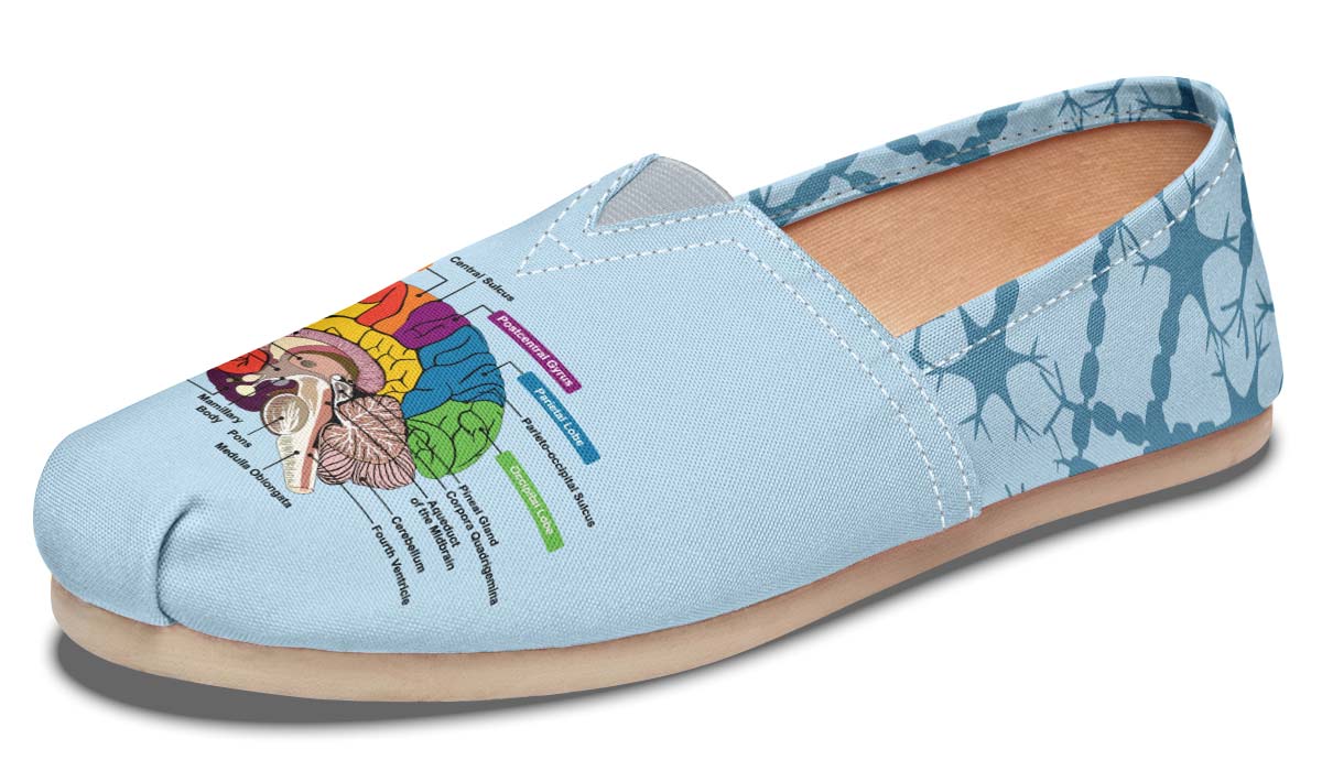 Brain Diagram Casual Shoes