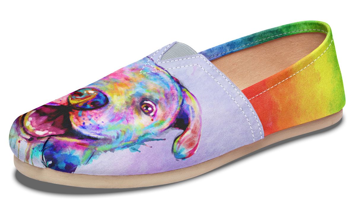 Rainbow Pit Bull Casual Shoes