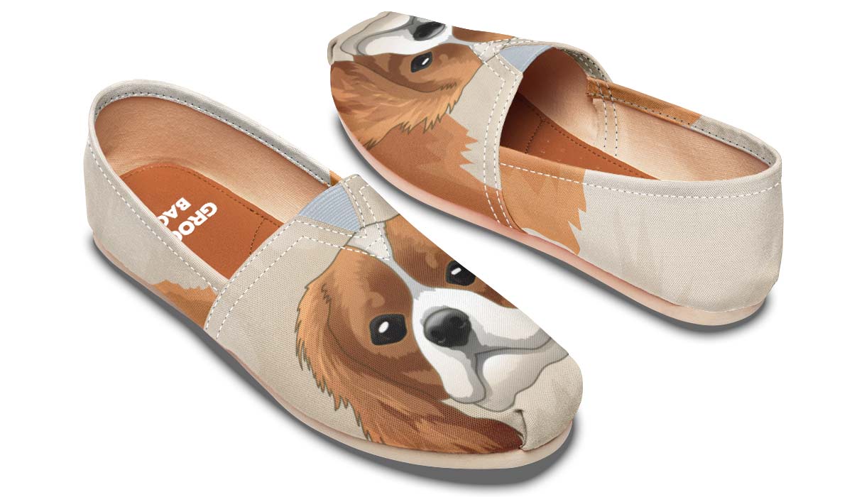 Real Cavalier King Charles Tan Casual Shoes