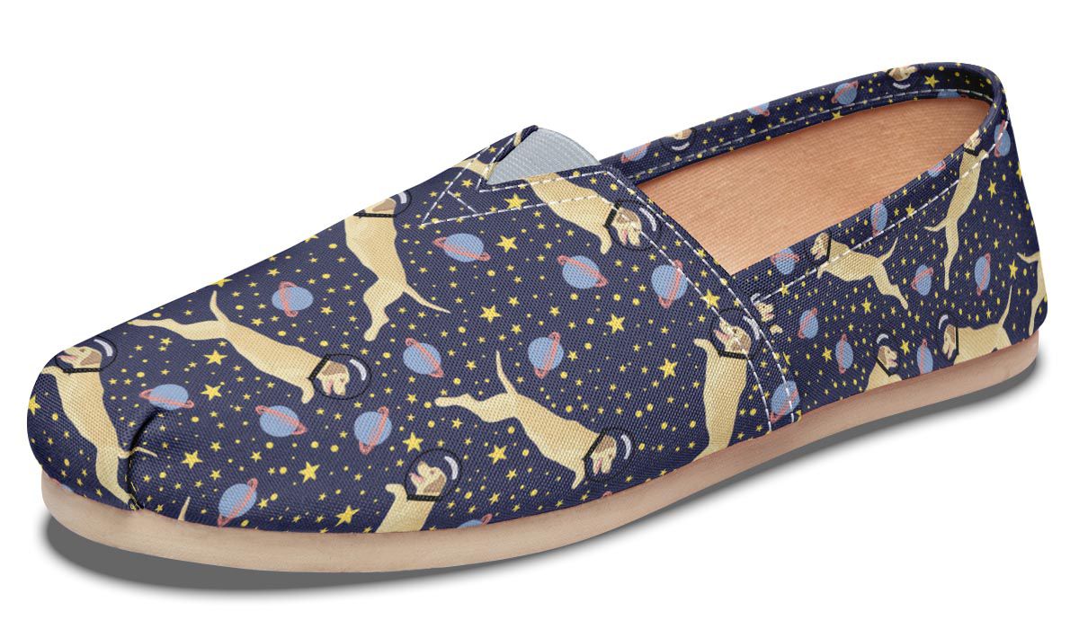 Space Labrador Casual Shoes