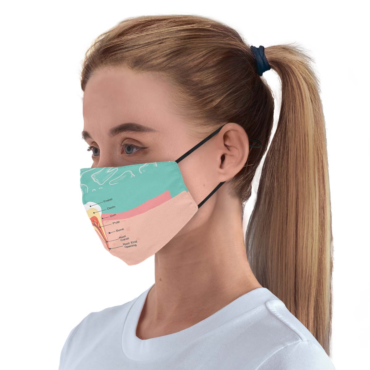 Dentist Diagram Face Cover