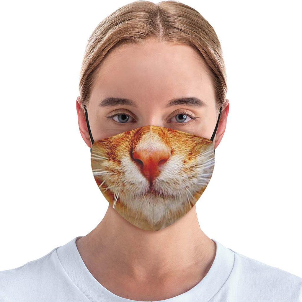 Orange Tabby Cat Face Cover