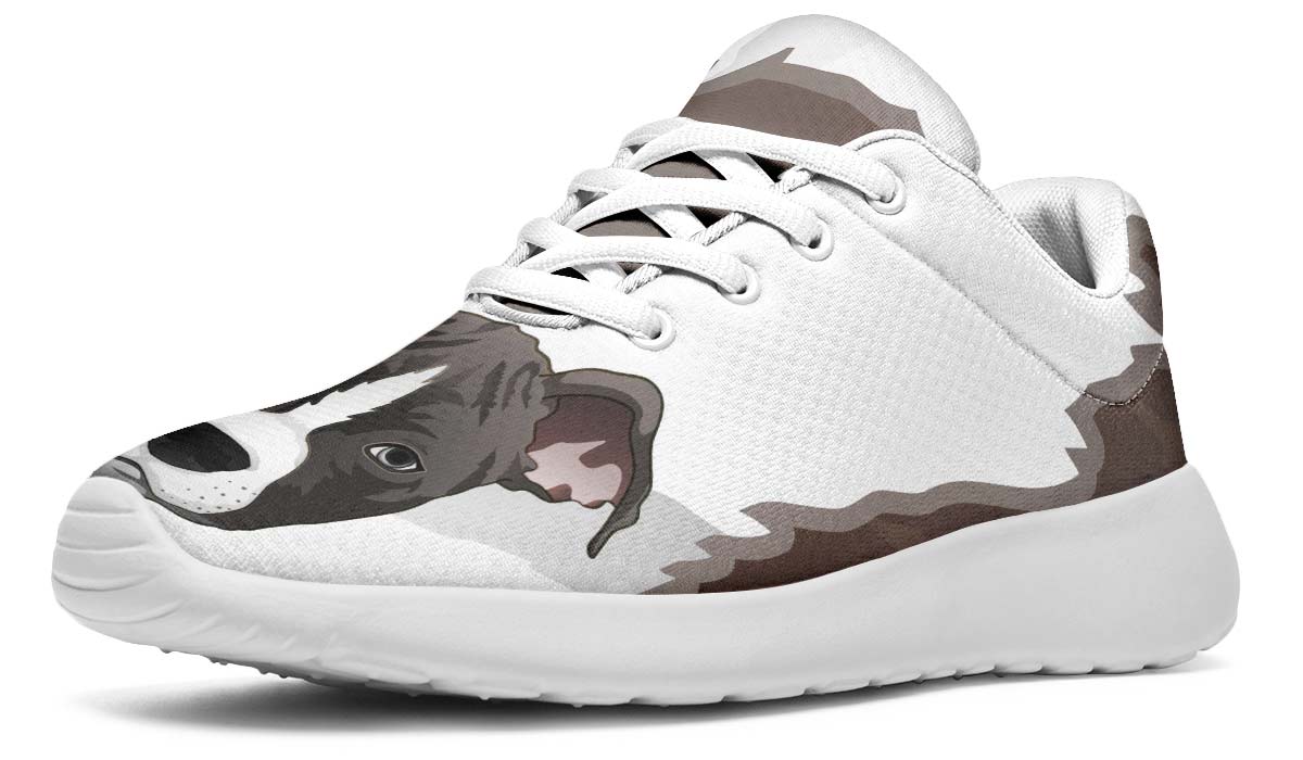 Pitbull sneakers sale